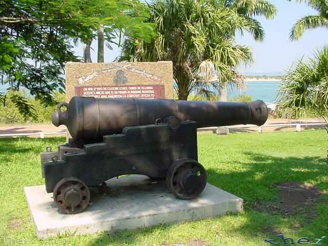 Cannon