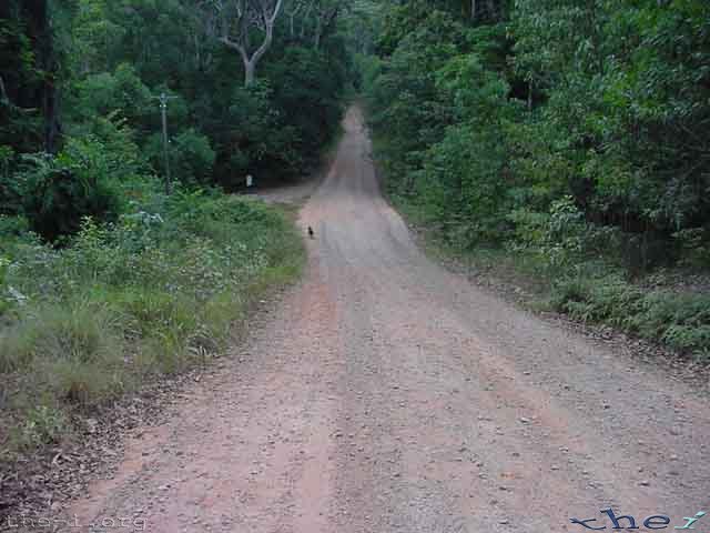 Bush Road