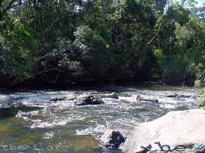 Rapids, Lion’s Den Hotel