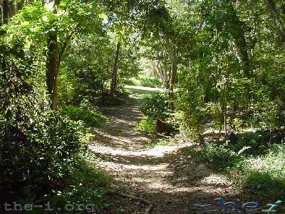 Bush track, Lion’s Den Hotel