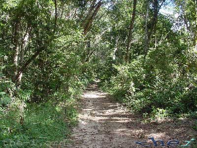 Bush track, Lion’s Den Hotel