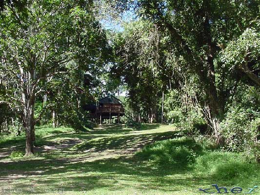 Safari Cabin, Lion’s Den Hotel