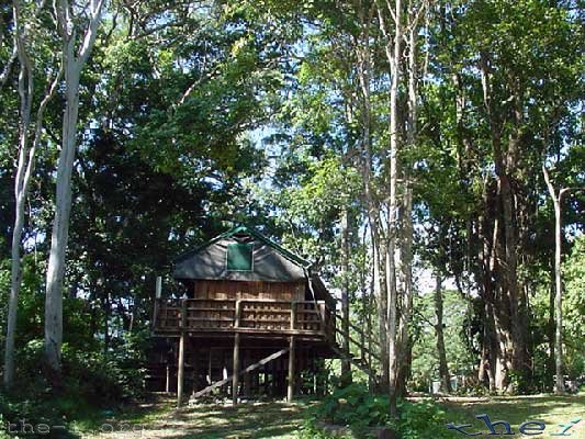 Safari Cabin, Lion’s Den Hotel