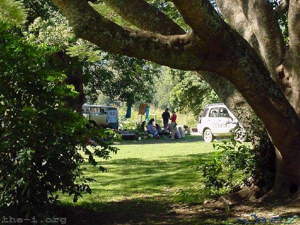 People sitting under a tree, Lion’s Den Hotel