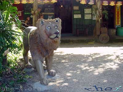 The Lion’s Den Hotel’s Lion