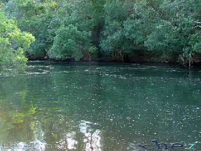 Clear water swimming hole, Lion’s Den Hotel