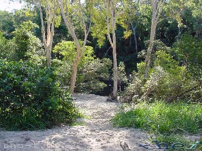 Sandy walk to creek, Lion’s Den Hotel