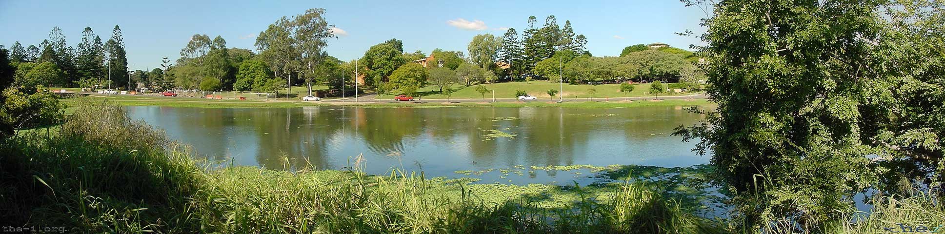 Duck pond at UQ