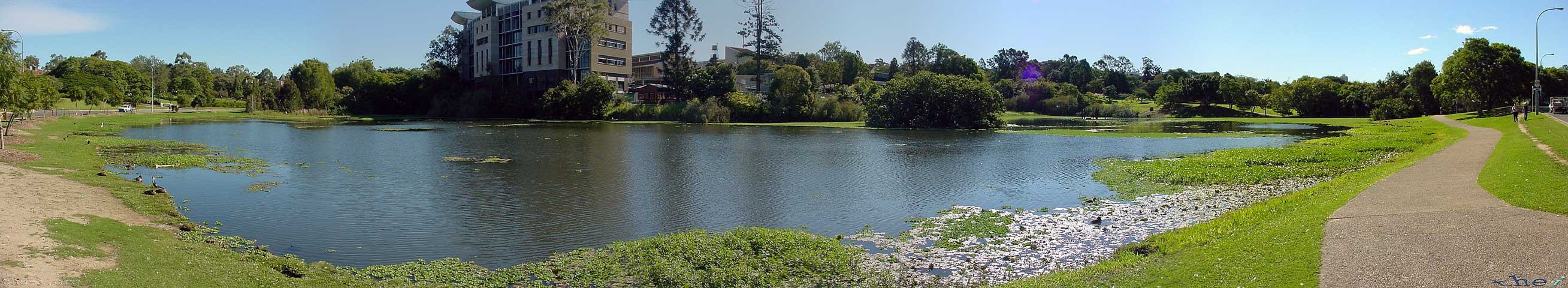 Duck ponds behind ITEE at UQ