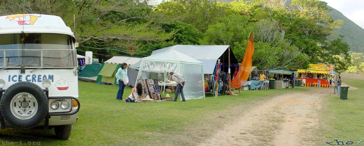 Wallaby Creek Festival