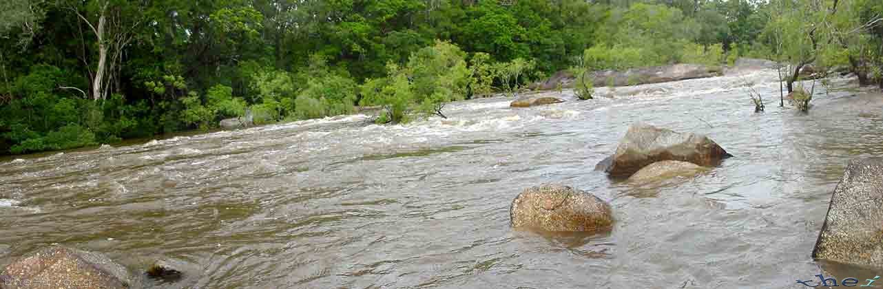 Wallaby Flood