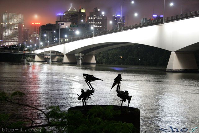 Mechanical Pelicans on the Brisbane River