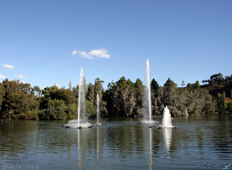Fountains, King’s Park