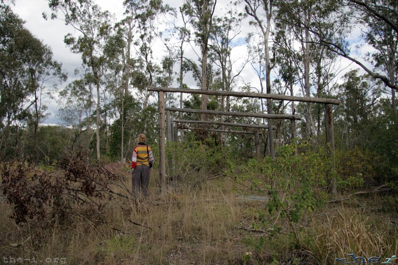 Bronwen and the remains of the back shed