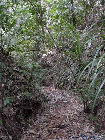 Narrow gully