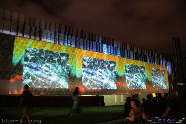 Projection Images