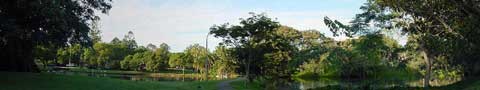 UQ grounds and pond