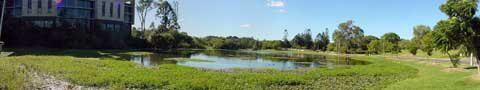 Duck Pond and ITEE building