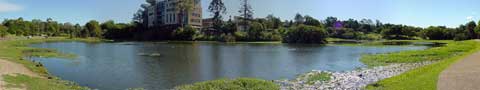 Duck pond at UQ