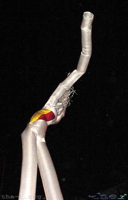 Image of Buddha’s Birthday