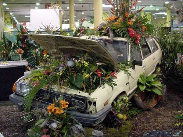 A piece of junk Asian car Flowers on car