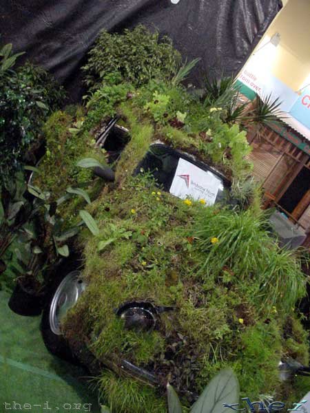 A good ole’ British car Greenery on car