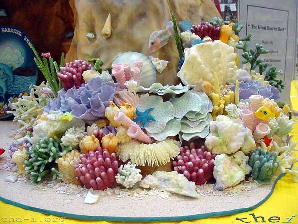 An iced extravaganza Icing reef