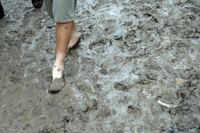 Mud Prints